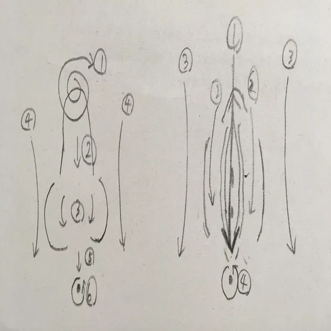 援助計画 全身清拭と陰部洗浄 鳩ぽっぽ Note