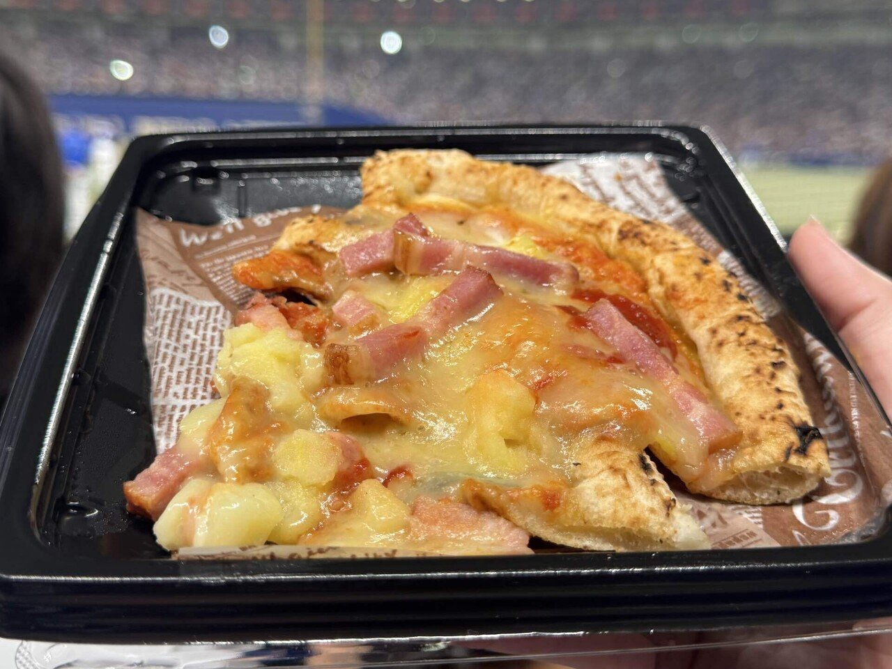 中日ドラゴンズ　どんぶり 中日ドラゴンズ どんぶり