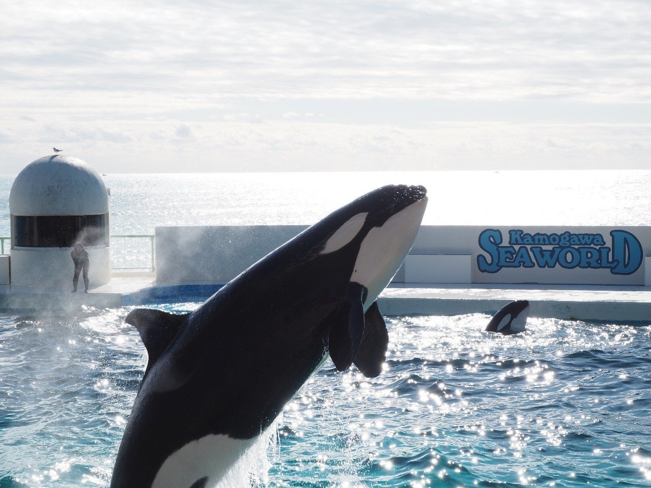 冥界の魔物 科学部元副部長 Note 冥界の魔物 科学部元副部長 Note