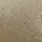 あしくさ