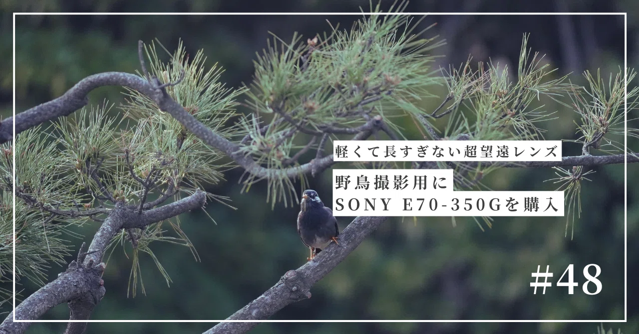 軽くて長すぎない超望遠レンズ：野鳥撮影用にSONY E70-350Gを購入した