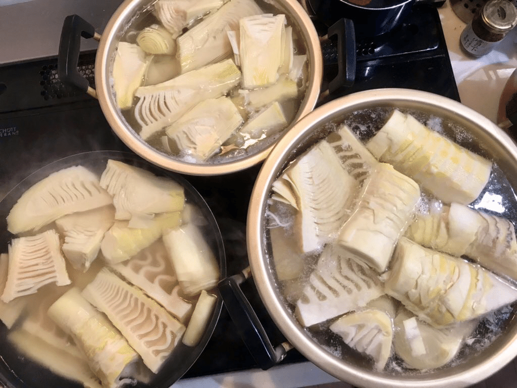 数キロたけのこ食べ尽くし録。｜マツダミキヲ 料理人