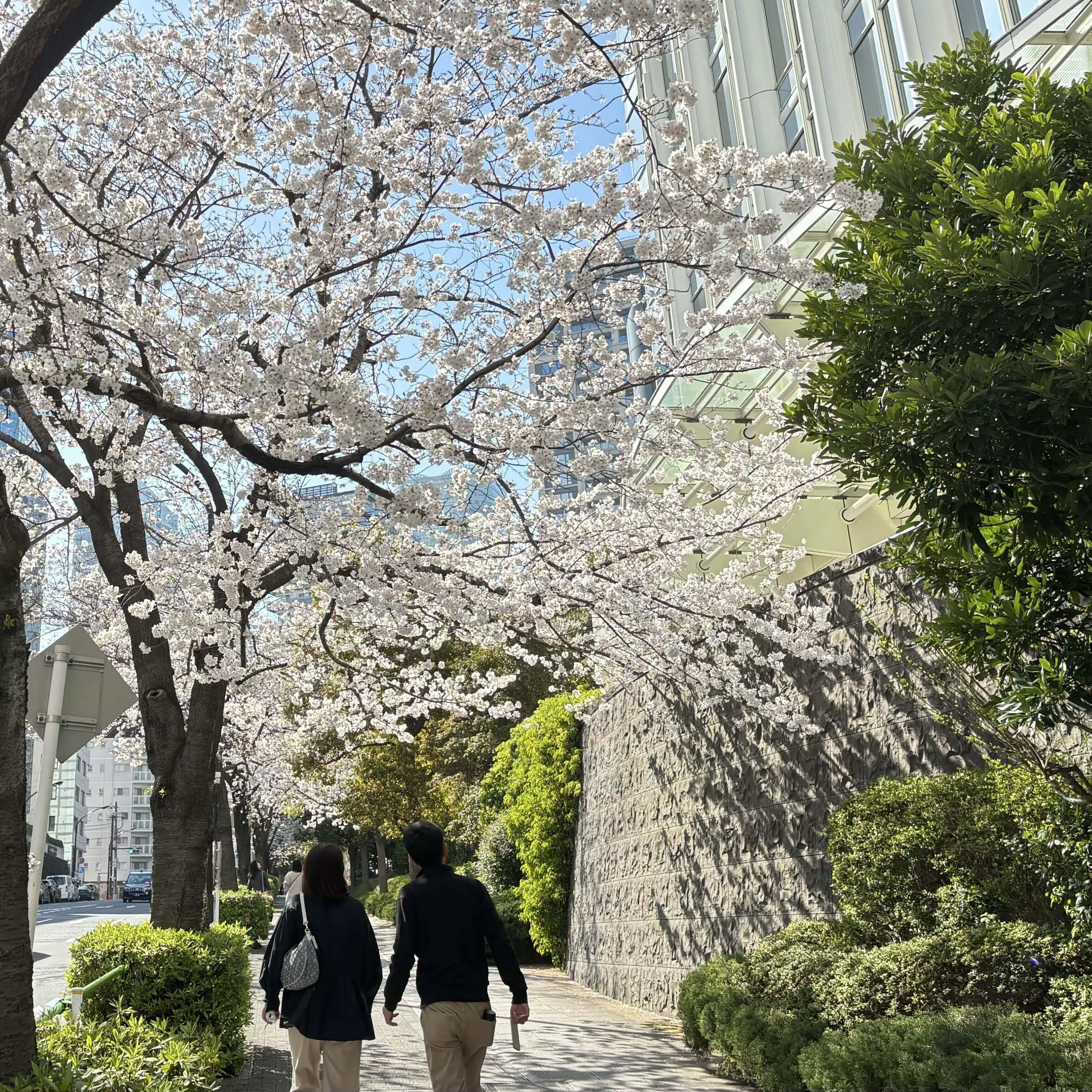 春風