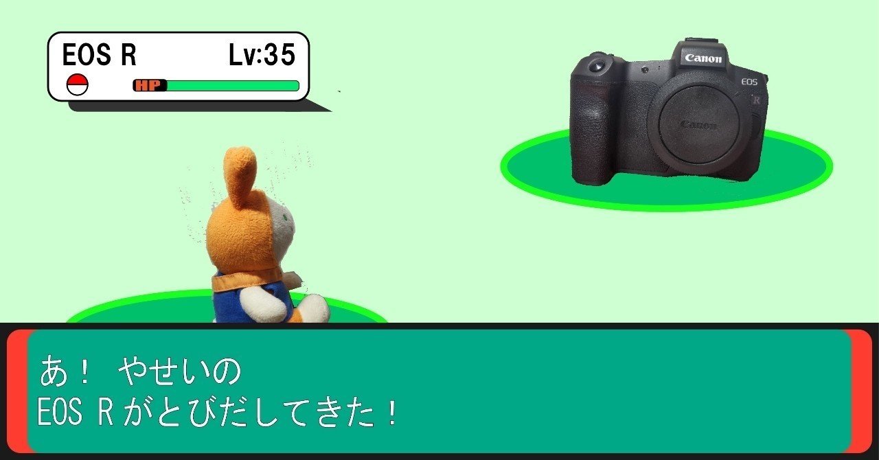 カメラ 何年持つ？