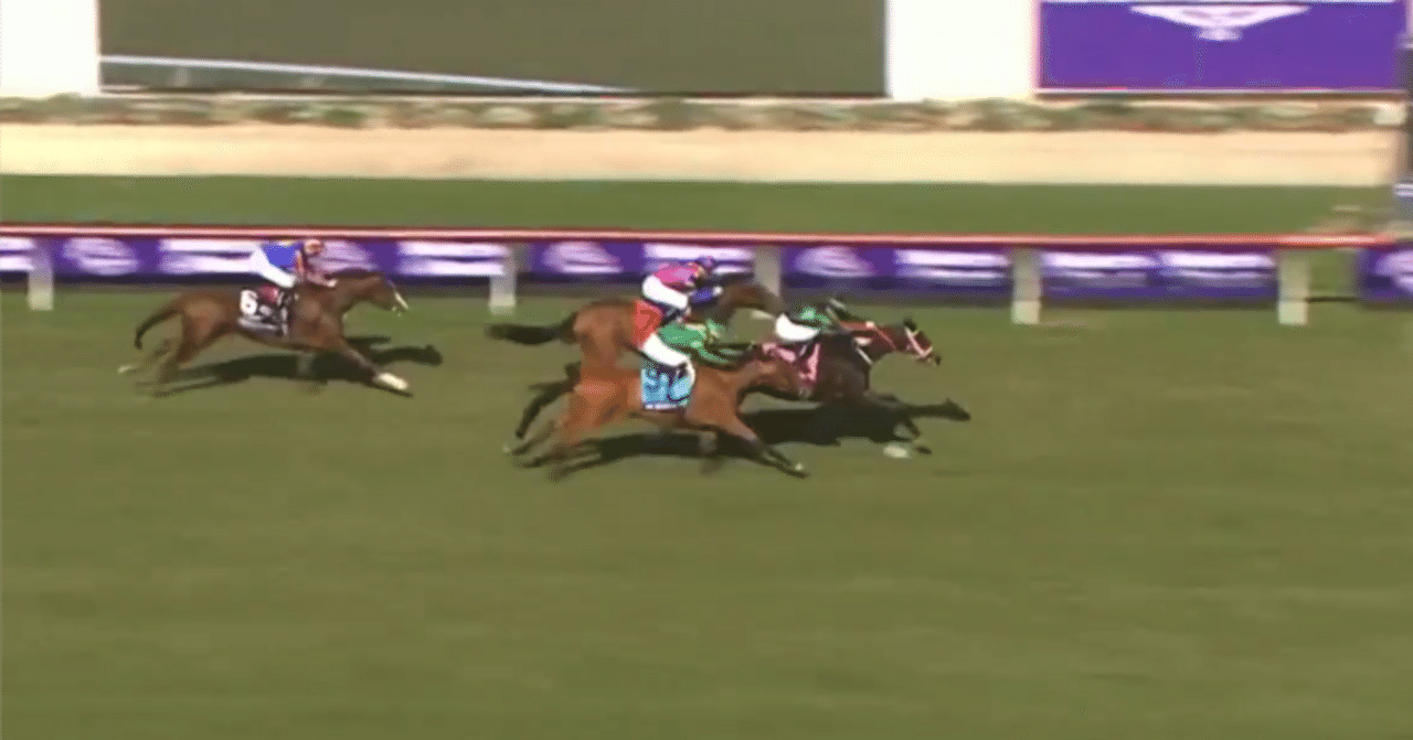 競馬】かつてないほどの大失敗に終わった「Cコース皐月賞」、絶賛大