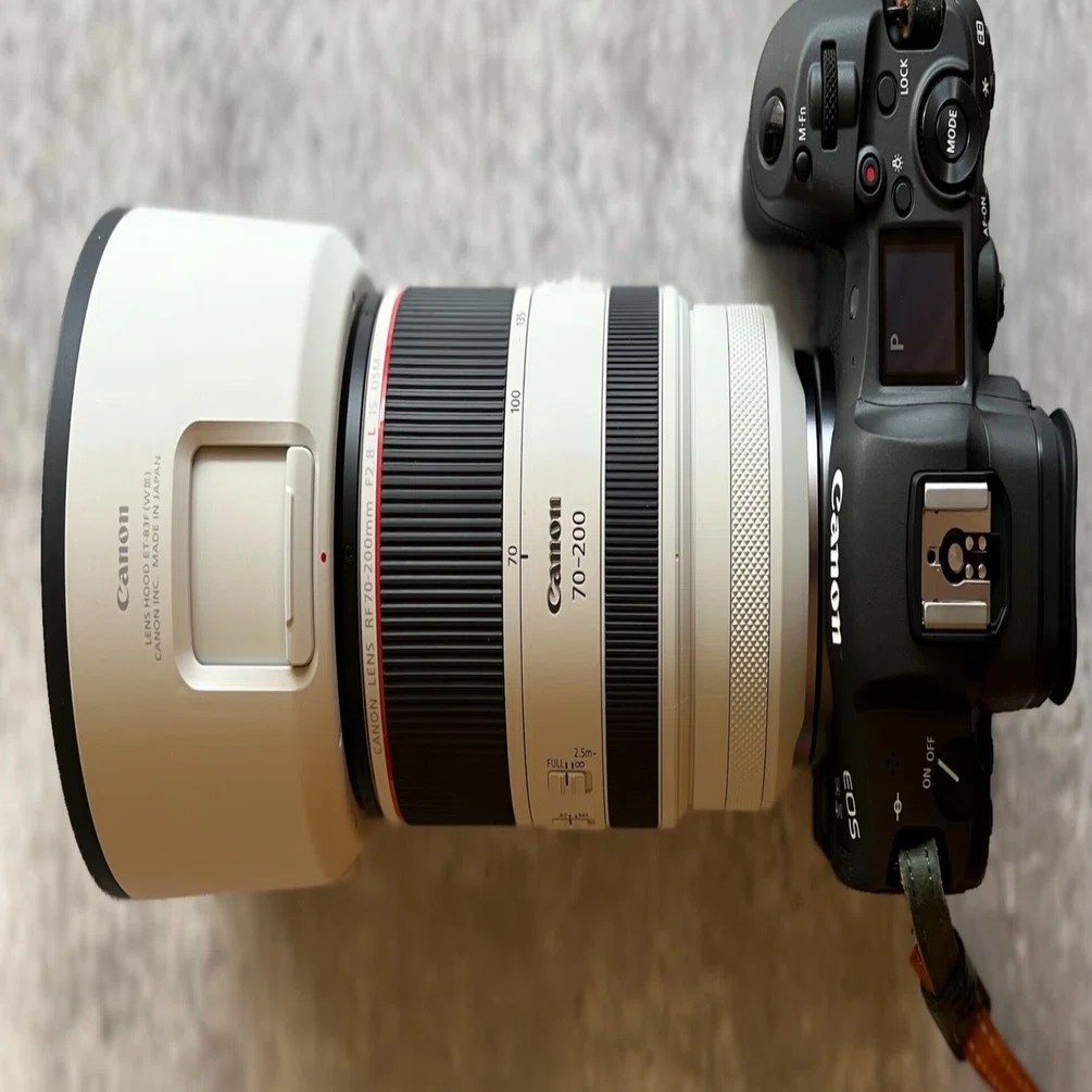 Canon一式を手放したお話｜猫写真家 あおいとり