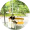 ももぴー