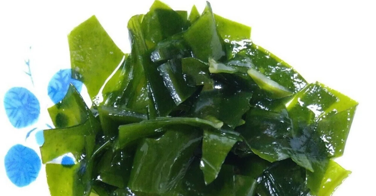 春に旬を迎える食材 わかめ|飯島昌子