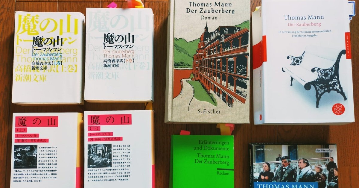 トーマス・マン 魔の山 Thomas Mann Der Zauberberg Fischer