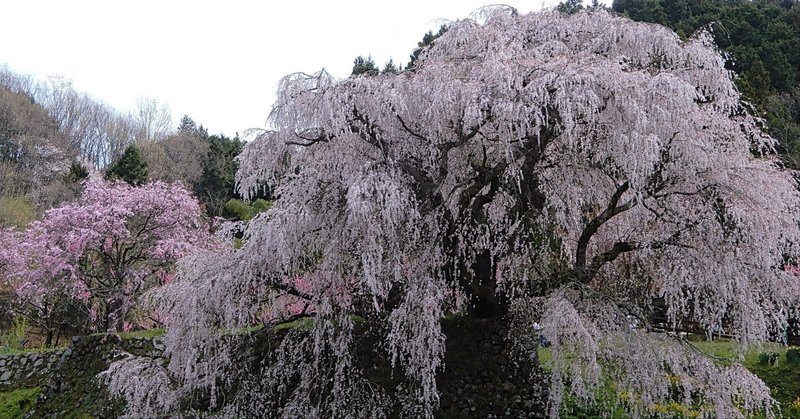 観光に使える】江戸時代の年号一覧|佐藤大朗(ひろお)|三国志研究家 観光に使える】江戸時代の年号一覧|佐藤大朗(ひろお)|三国志研究家