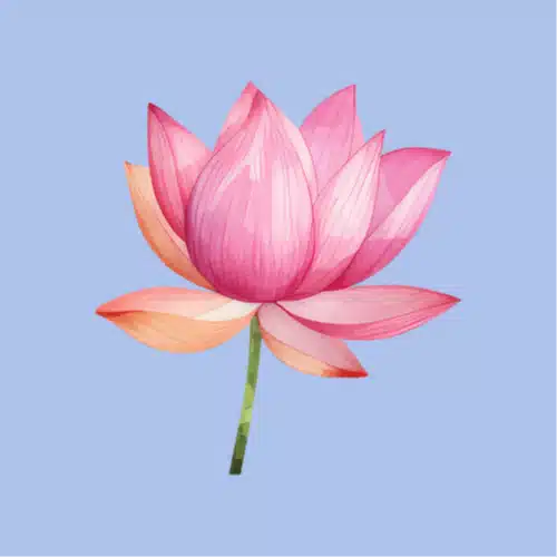 蓮宮みづき
