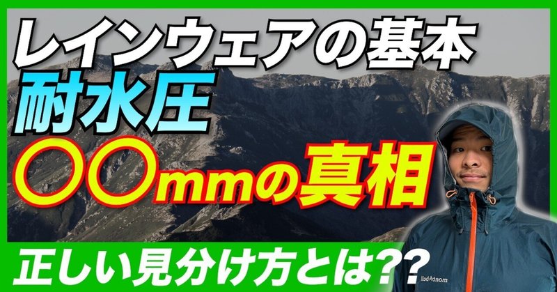 THE NORTH FACE マウンテンライトジャケット×UNIQLOフリース の THE NORTH FACE マウンテンライトジャケット×UNIQLOフリース の