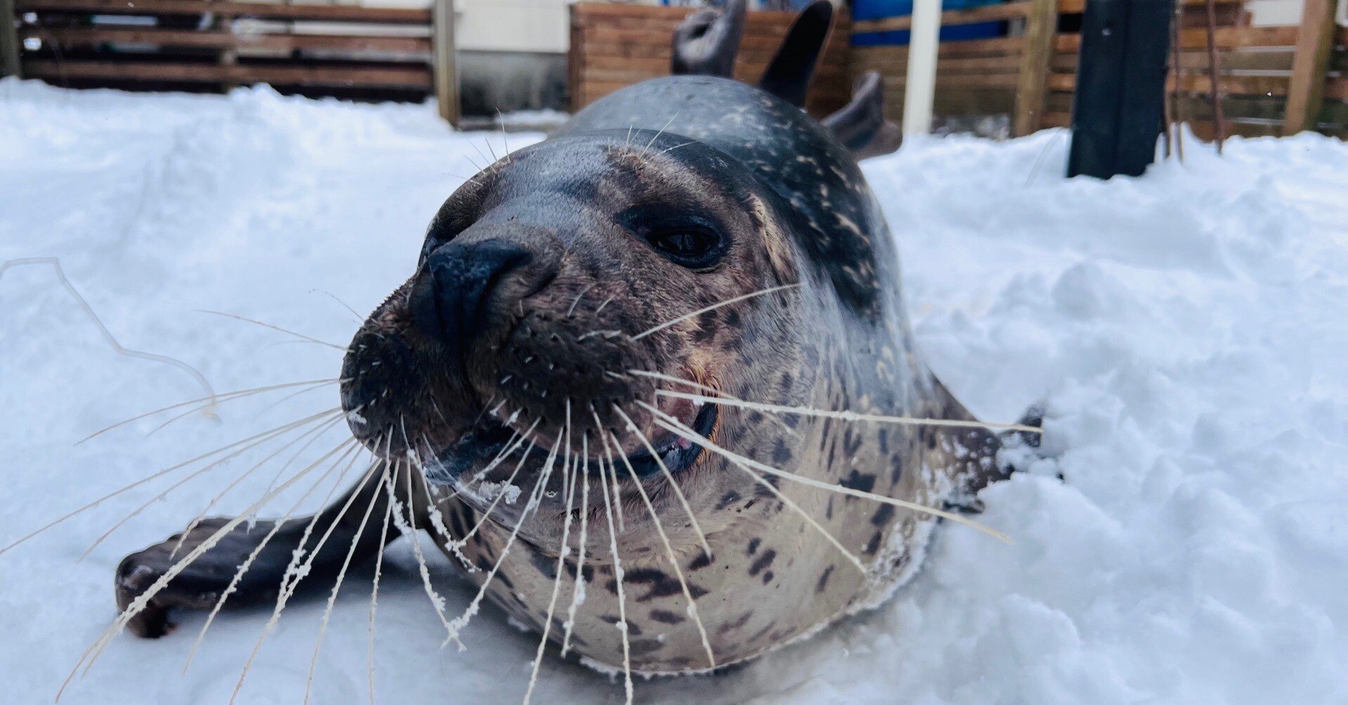 水辺の新入り、みなと君！｜那須どうぶつ王国公式note