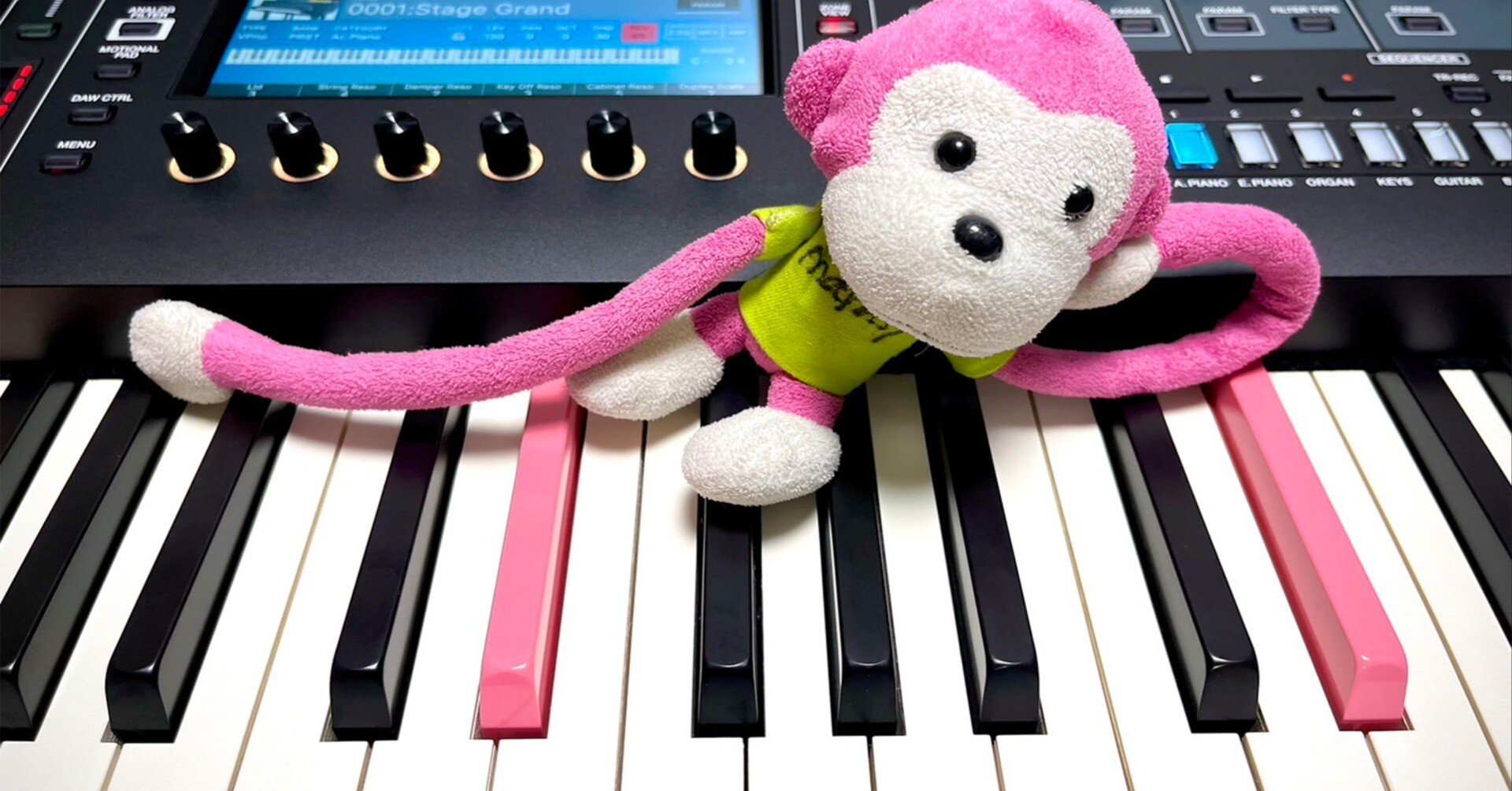 ピンクピアノさん専用 お披露目】鍵盤をピンクに塗っていただきました【FANTOM EX】［4月22日