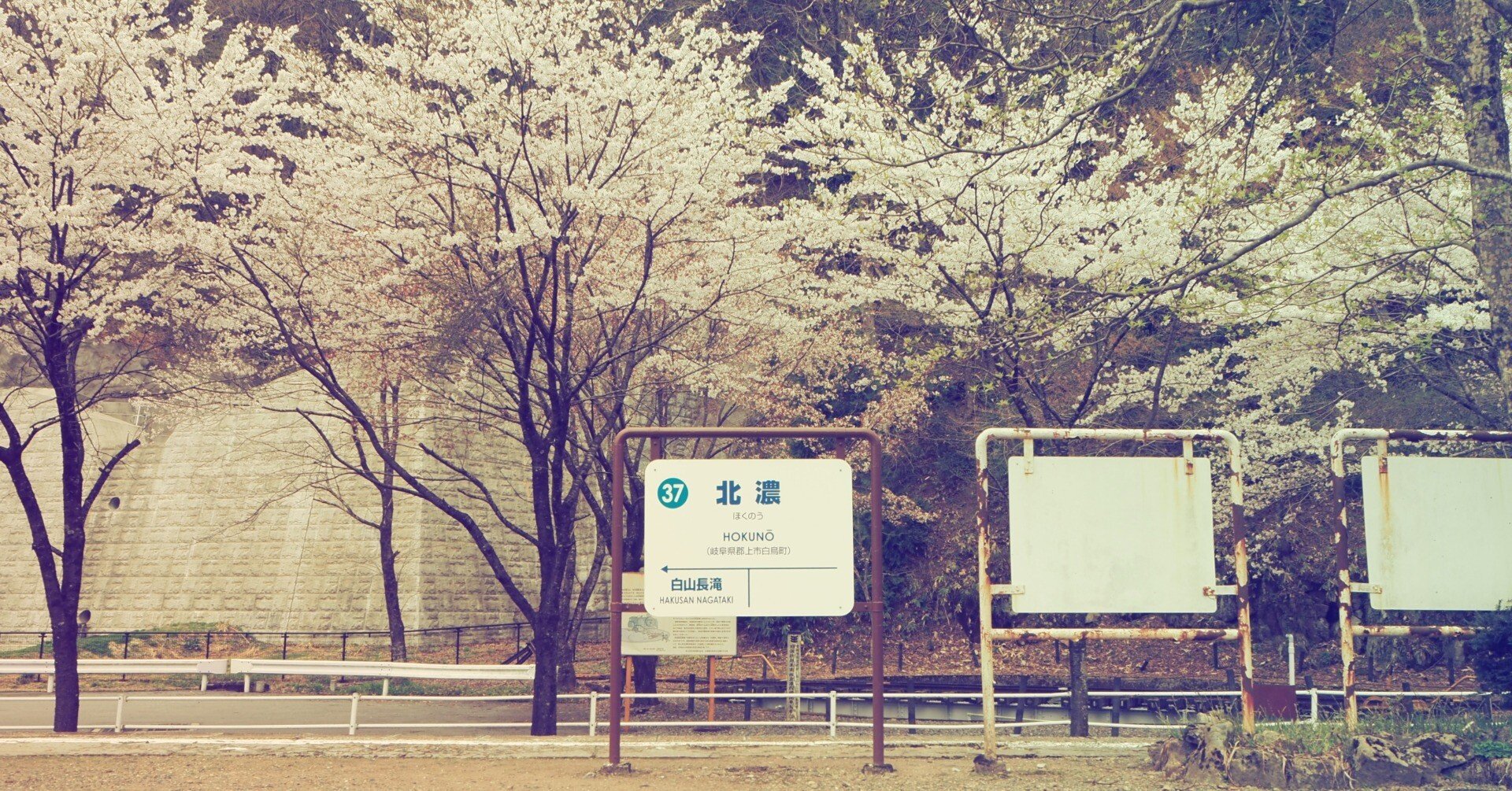 春がきた🌸長良川鉄道越美南線🌸北濃駅｜すすむ