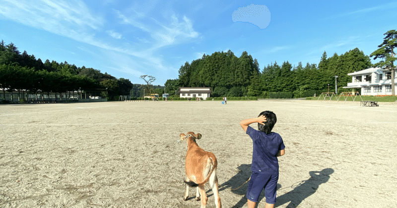 思い出 屠殺場の思い出 桔梗の花 도라지 note