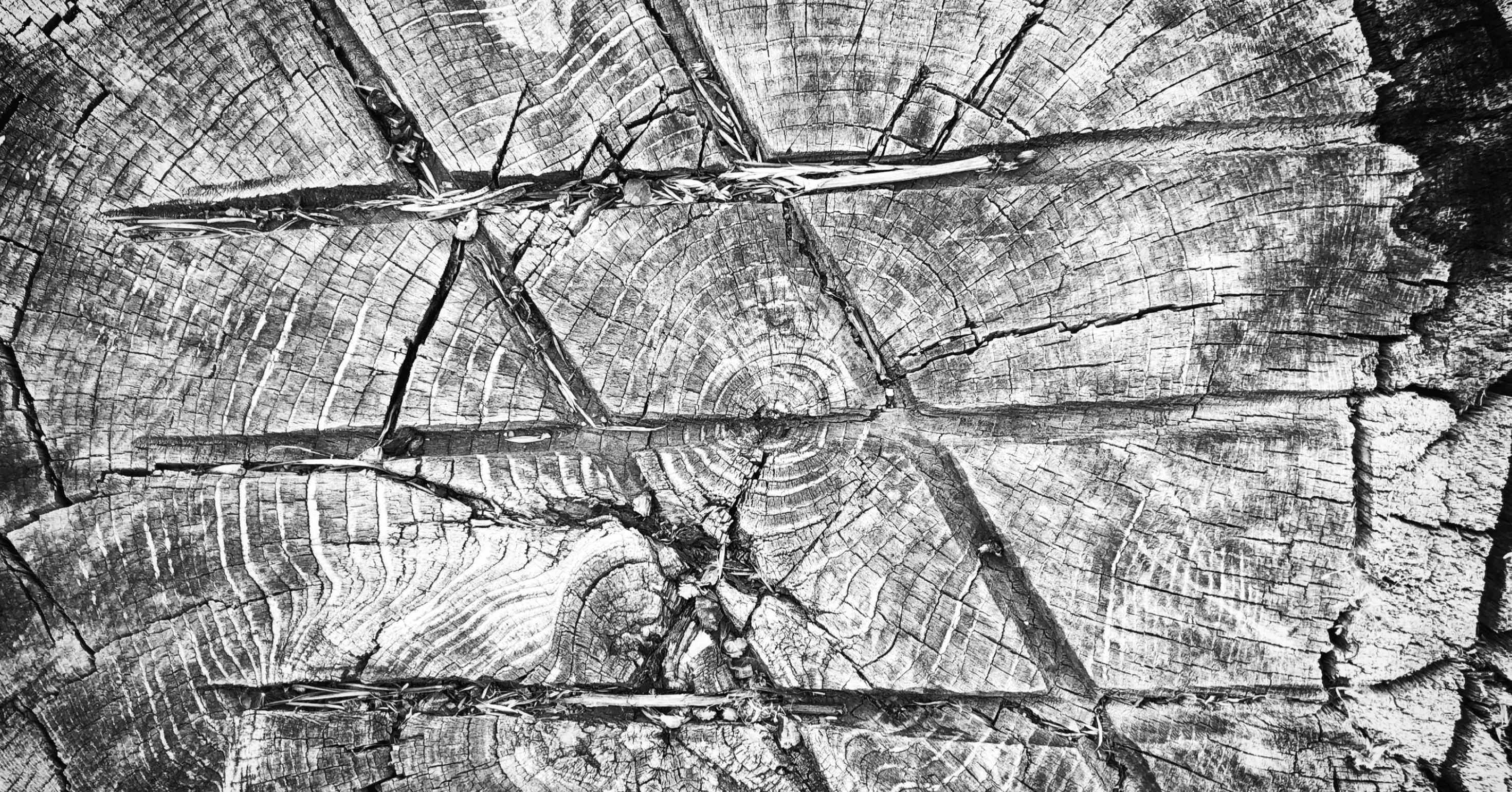 洋楽 RED HOT CHILI PEPPERS/SCAR TISSUE Scar Tissue ‑ 曲・歌詞：レッド・ホット・チリ・ペッパーズ | Spotify