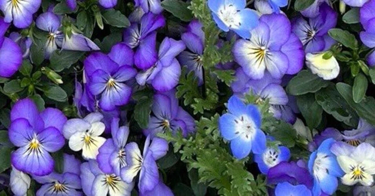 Helpful Notes: What is Personal Color?｜🩵さや🩵