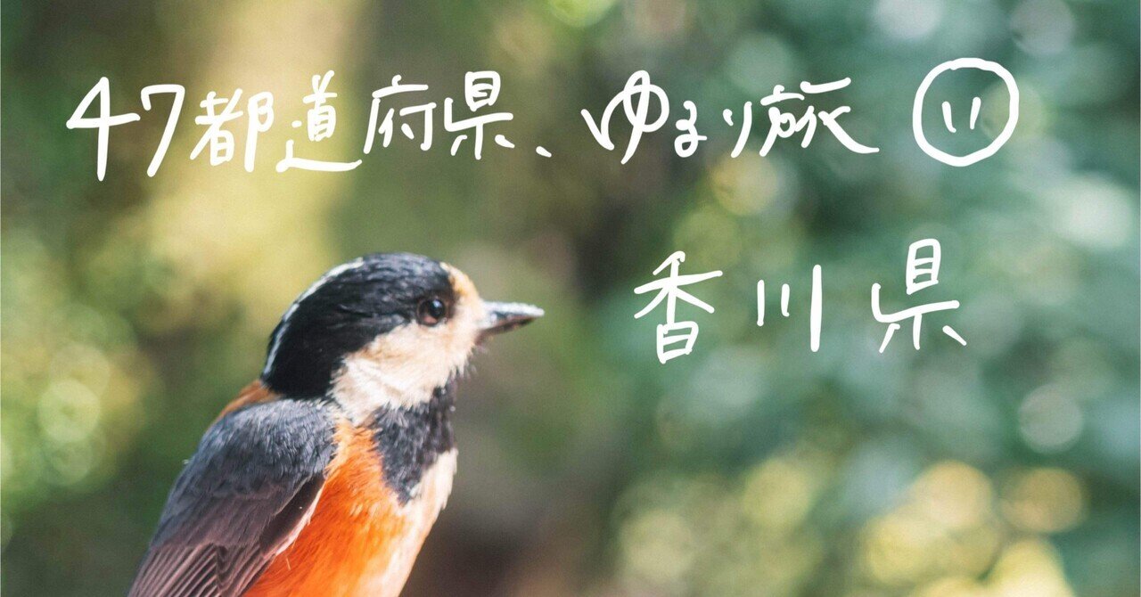 高級品市場 佐渡・トキの守人物語｜NPO法人 文学旅行 絵本+児童書