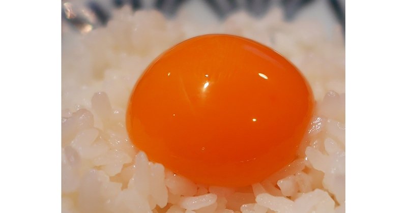 スギアカツキ たまごのはなし 第6回 黄身だけ に夢中 世界文化社 公式note
