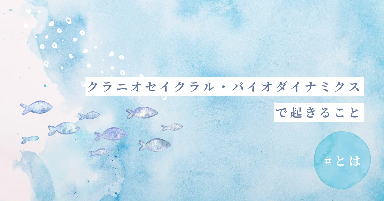 クラニオセイクラル・バイオダイナミクスで起きること #とは（研修の
