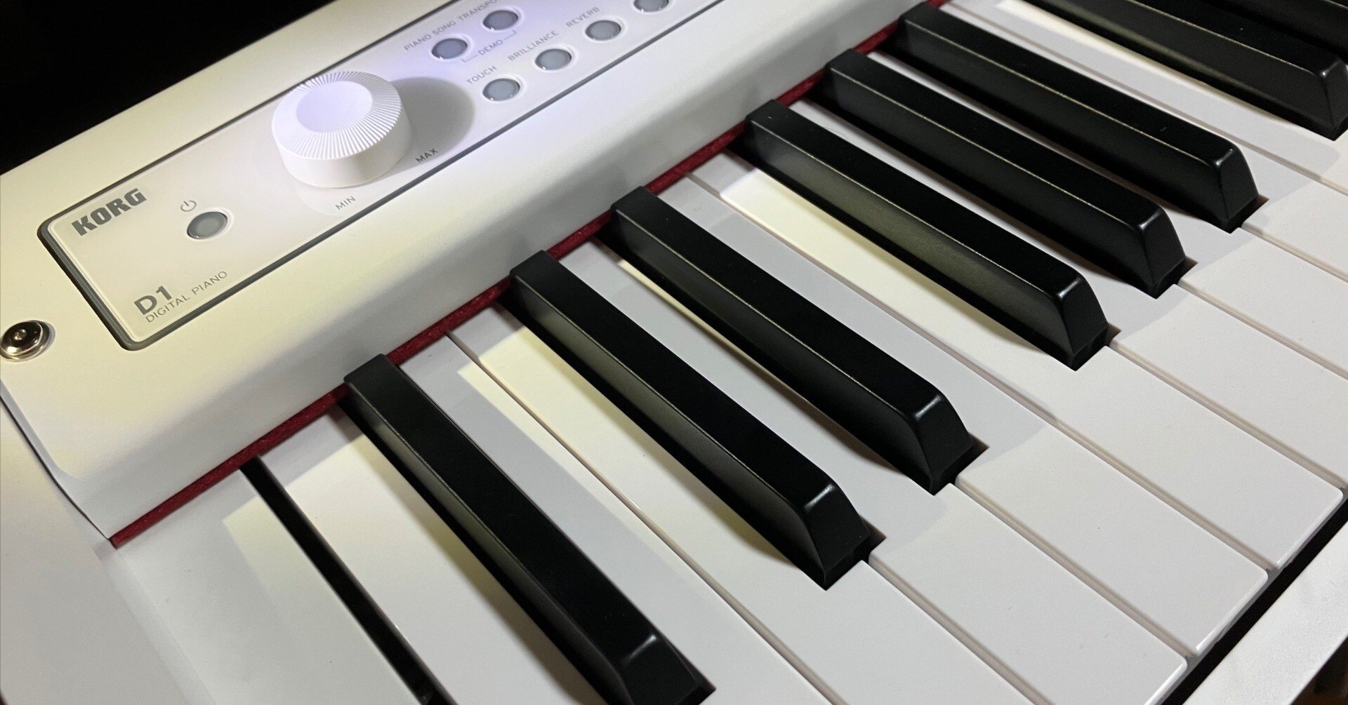 オトと戯れる 55]88KEYピアノ鍵盤KORG D1｜GiSAIONE