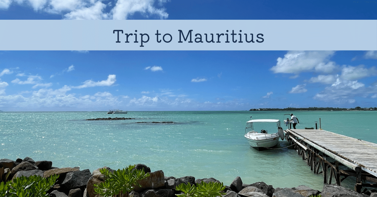 [ 出回りなし ] モーリシャス 航空 カトラリー 出回りなし ] モーリシャス 航空 カトラリー