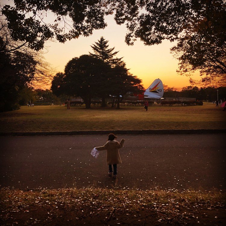 みー氏と公園遊びする時、めいっぱい遊ぶので帰りはいつも日が傾いています。おかげでたくさんの綺麗な夕陽が見られます。みー氏よ。父にいい風景をたくさん見せてくれてありがとうな(　´∀｀)