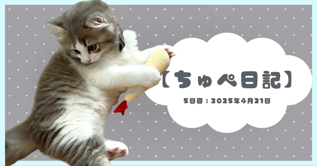5【サイベリアンのちゅぺ日記】2025年4月21日（月）｜お迎え5日目 