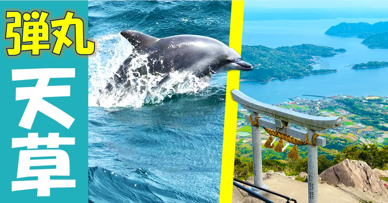 天草】イルカに興奮しすぎてスマホ落としそうになった🐬｜たわん