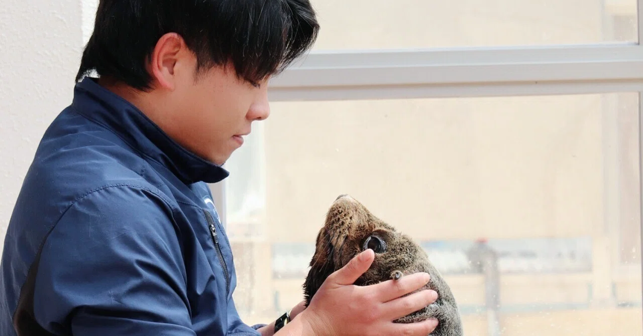 私めちゃくちゃかっこよくないですか？」｜桂浜水族館 公式