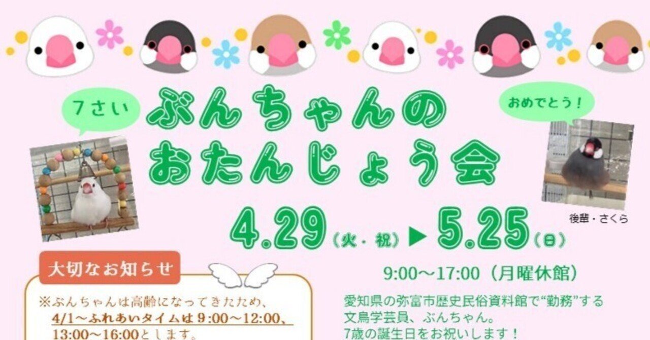 ぶんちゃん7歳のお誕生会開催！｜文鳥大学弥富研究所