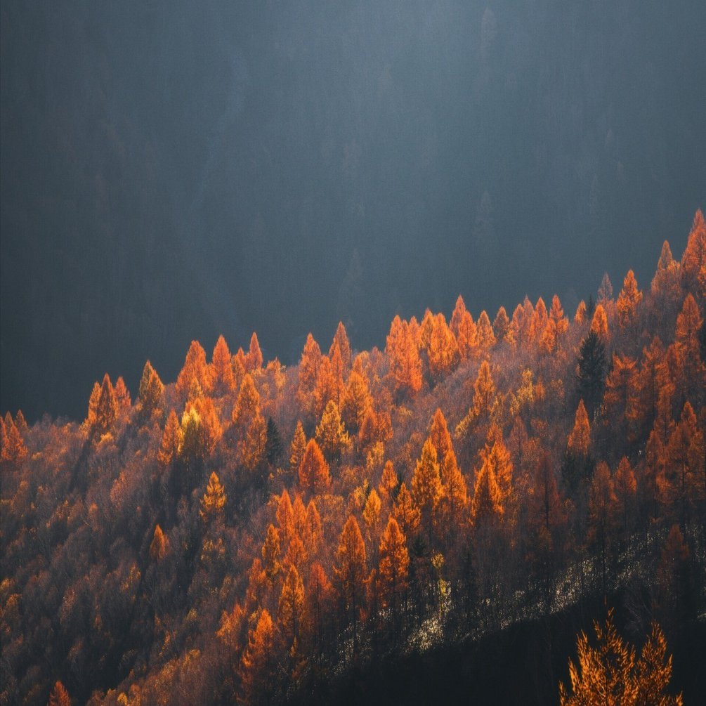 登山とレンズ】FE 70-200mm F4 Macro G OSS IIの作例をご紹介｜Ryoichi