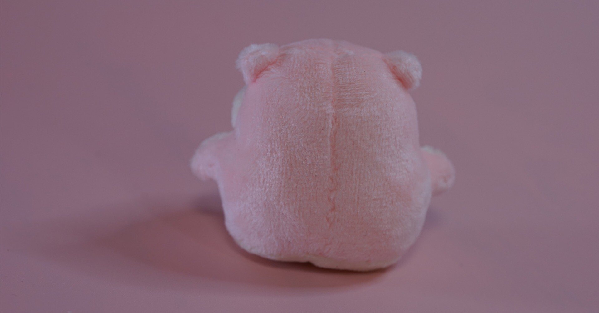 ぬいぐるみ作家 あとりえこだぬき まとめ売り ぬいぐるみ作家・トモタwork初個展 「はずかしがりっこの春