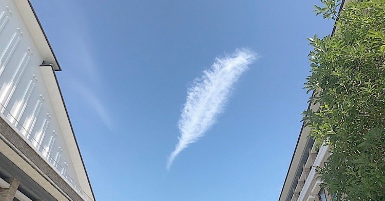 すべてを経験せよ 美も恐怖も 生き続けよ 絶望が最後ではない ジョジョ ラビット を観て代olが思ったこと おしり Note