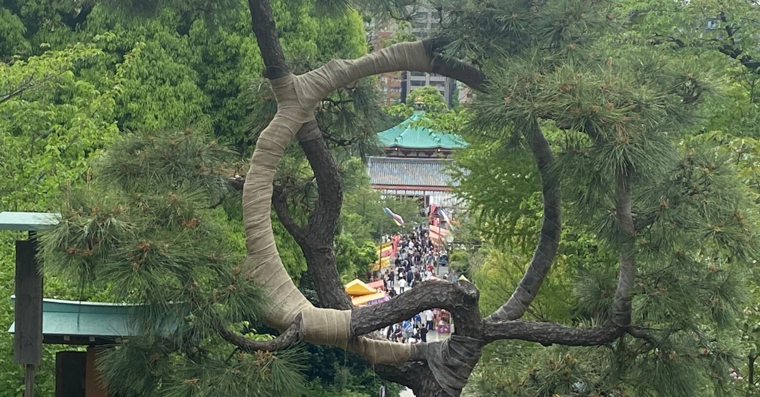 徒然なるままに上野公園を散策する日｜又森敏之
