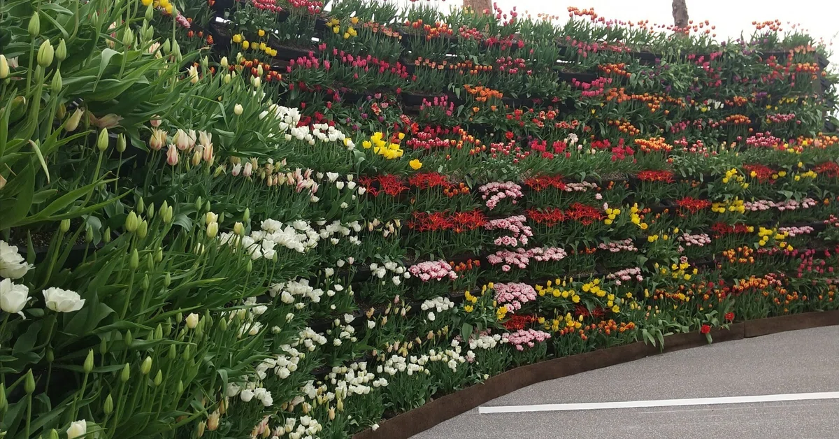 To Tonami Tulip Park♪｜∞三愛はな∞🎀癒しのkindle作家、寄り添いライター