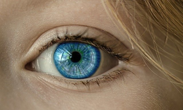 英単語 Eye の語源や由来 日本にいながら英語 英会話力爆上げ Note