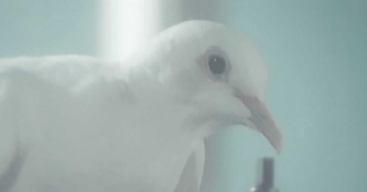 💗イモリさん恐竜みたいですネ〜💗 | masafumiが投稿したフォトブック | Lemon8, image size:1280x670