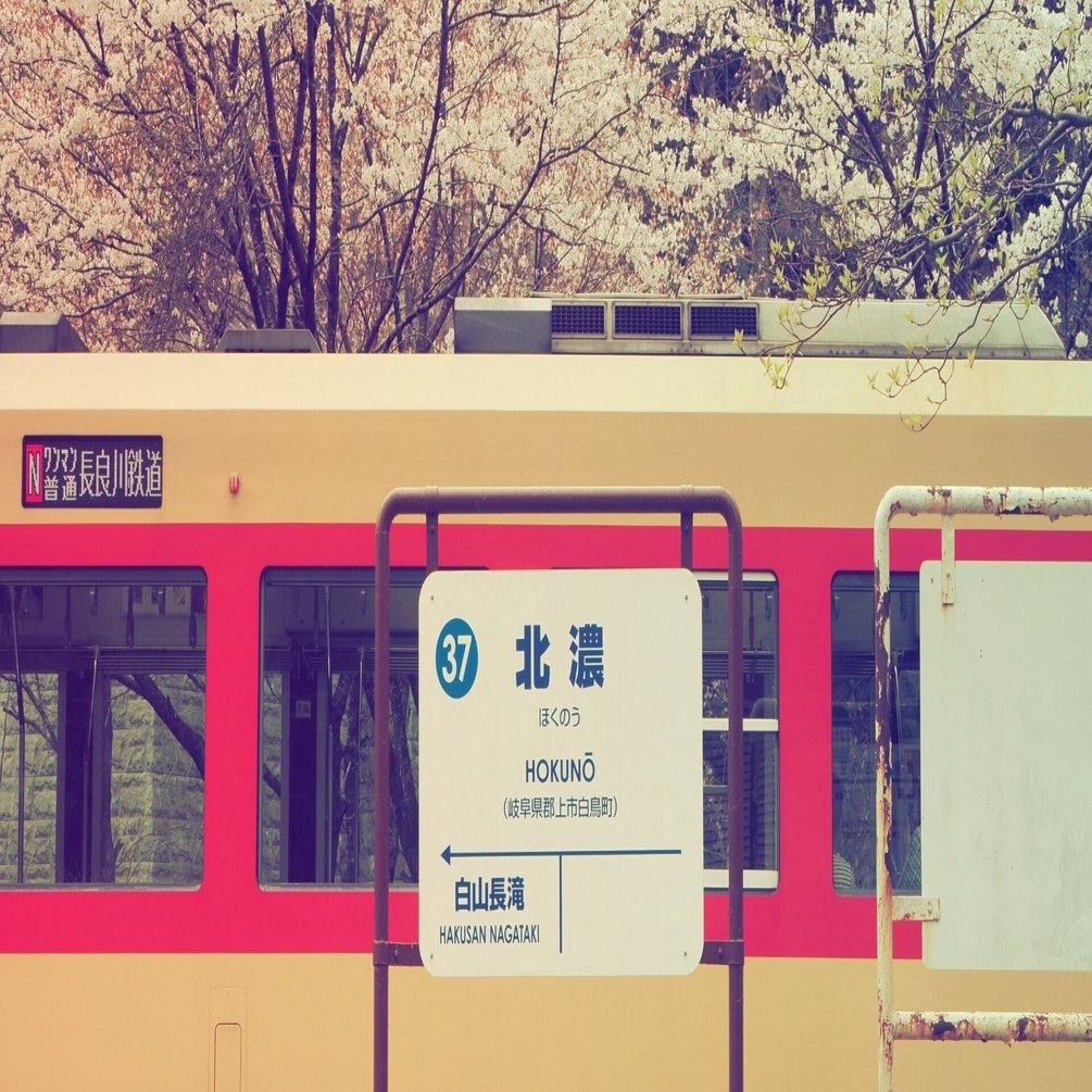 🌸長良川鉄道北濃駅でのお花見撮影🌸｜すすむ