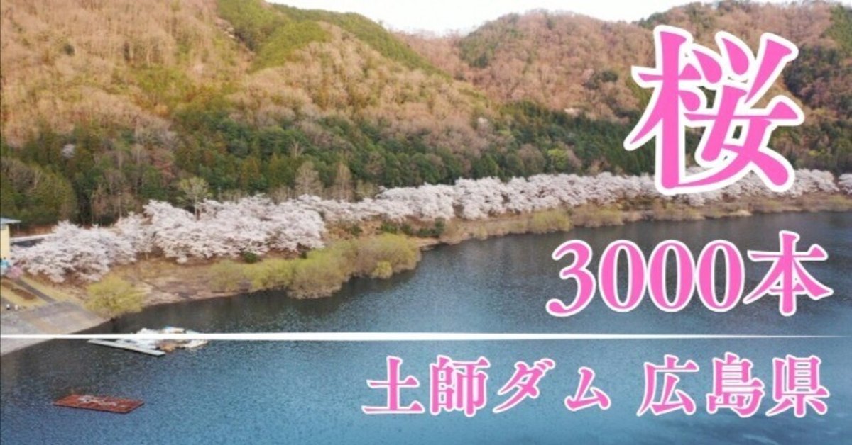 土師(はじ)ダムと3000本の桜 広島県 土師(はじ)ダムと3000本の桜 広島県