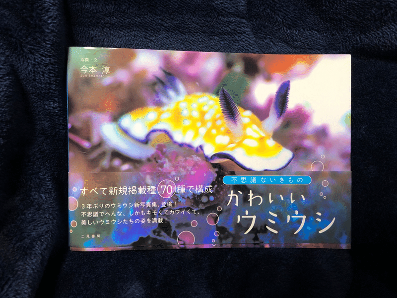 本棚に魚本 かわいいウミウシ 写真集 太刀魚ユウキ Note 本棚に魚本 かわいいウミウシ 写真集 太刀魚ユウキ Note