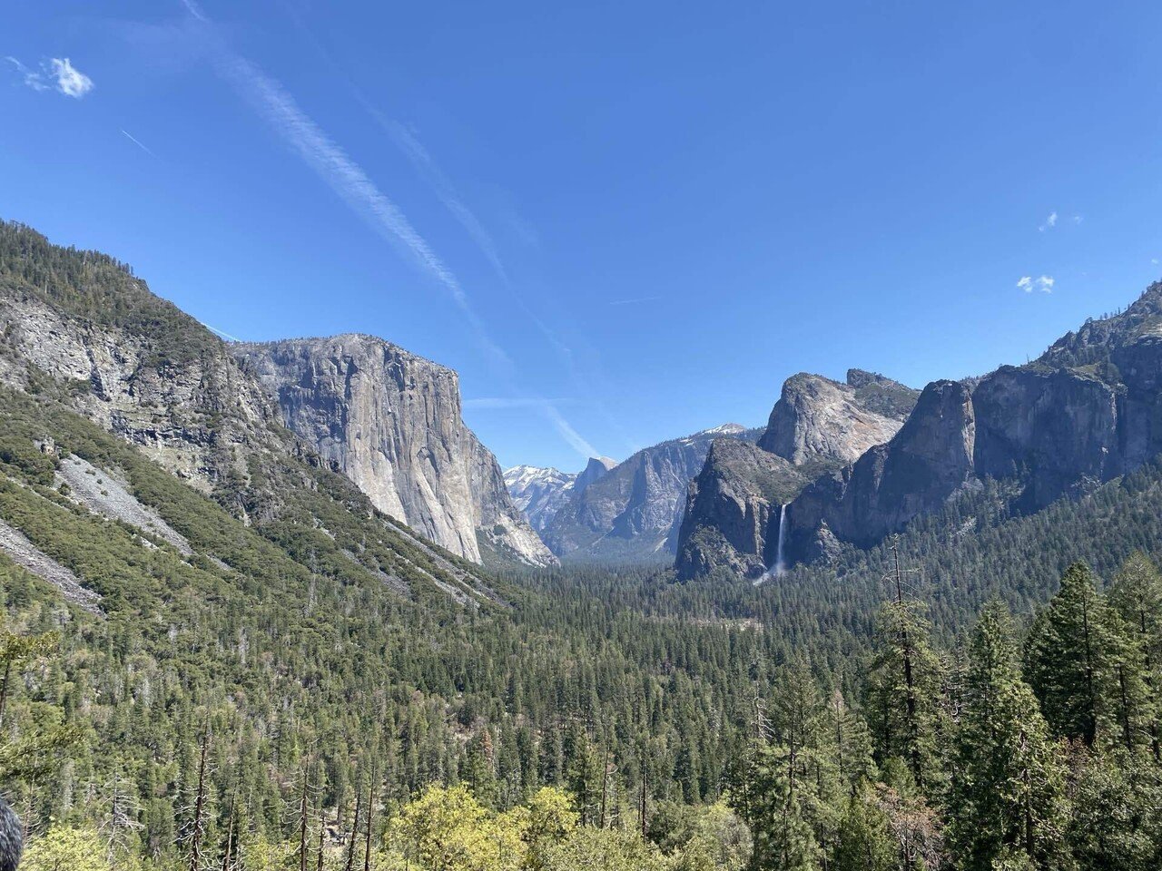 TRAVEL①：Yosemite National Park ~ヨセミテ国立公園/ヨセミテ