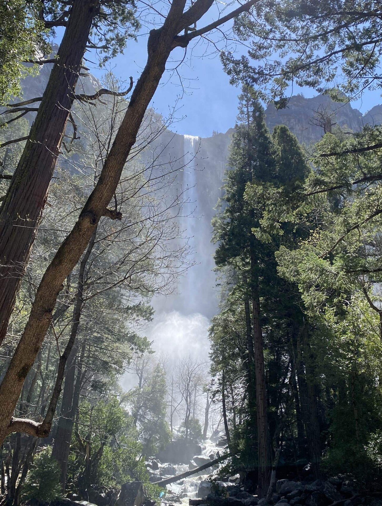 TRAVEL①：Yosemite National Park ~ヨセミテ国立公園/ヨセミテ
