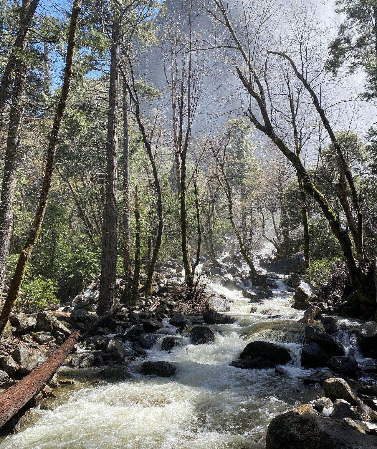 TRAVEL①：Yosemite National Park ~ヨセミテ国立公園/ヨセミテ
