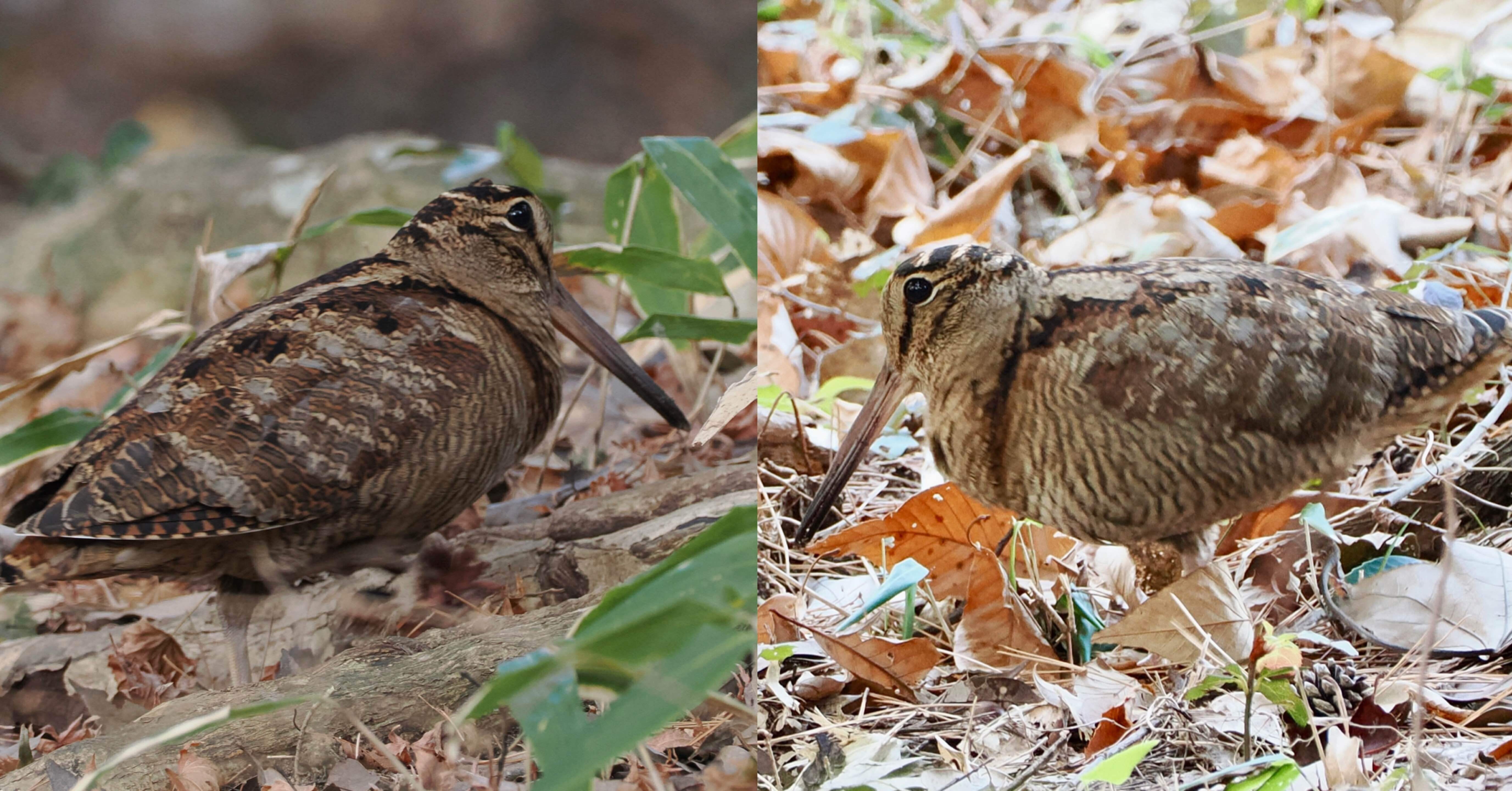 ef19ce542c11a3c8f7a1df9d4ba128