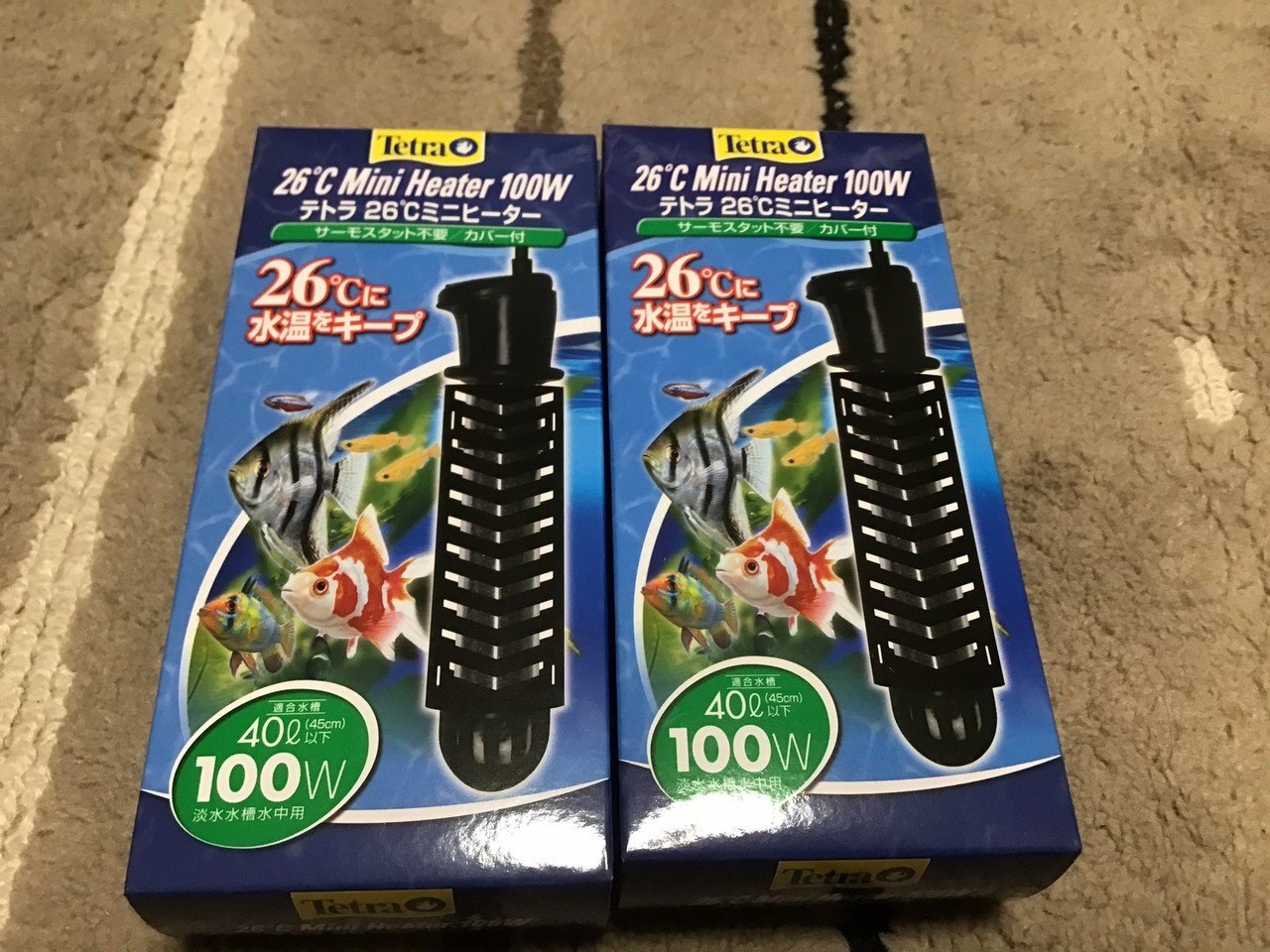 エンゼルフィッシュ水槽立ち上げ1 ゆーいちの水槽部屋 Note