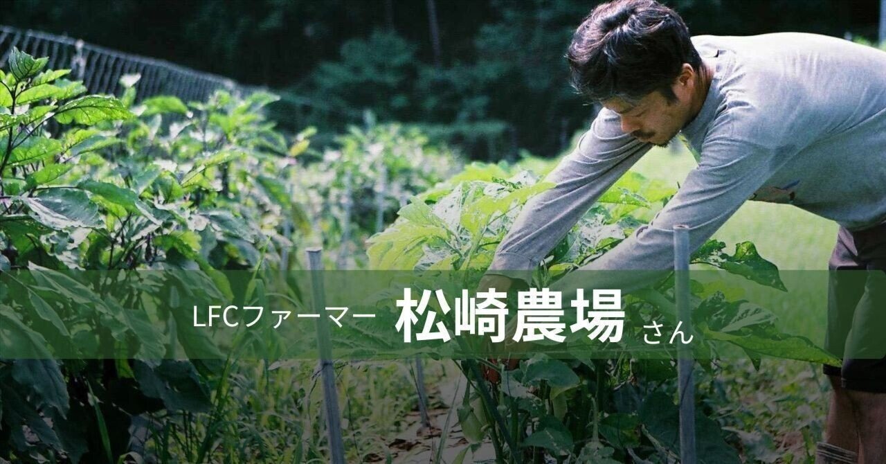 野菜それぞれの個性を引き出す土を作りたい｜兵庫県・松崎農場 松崎