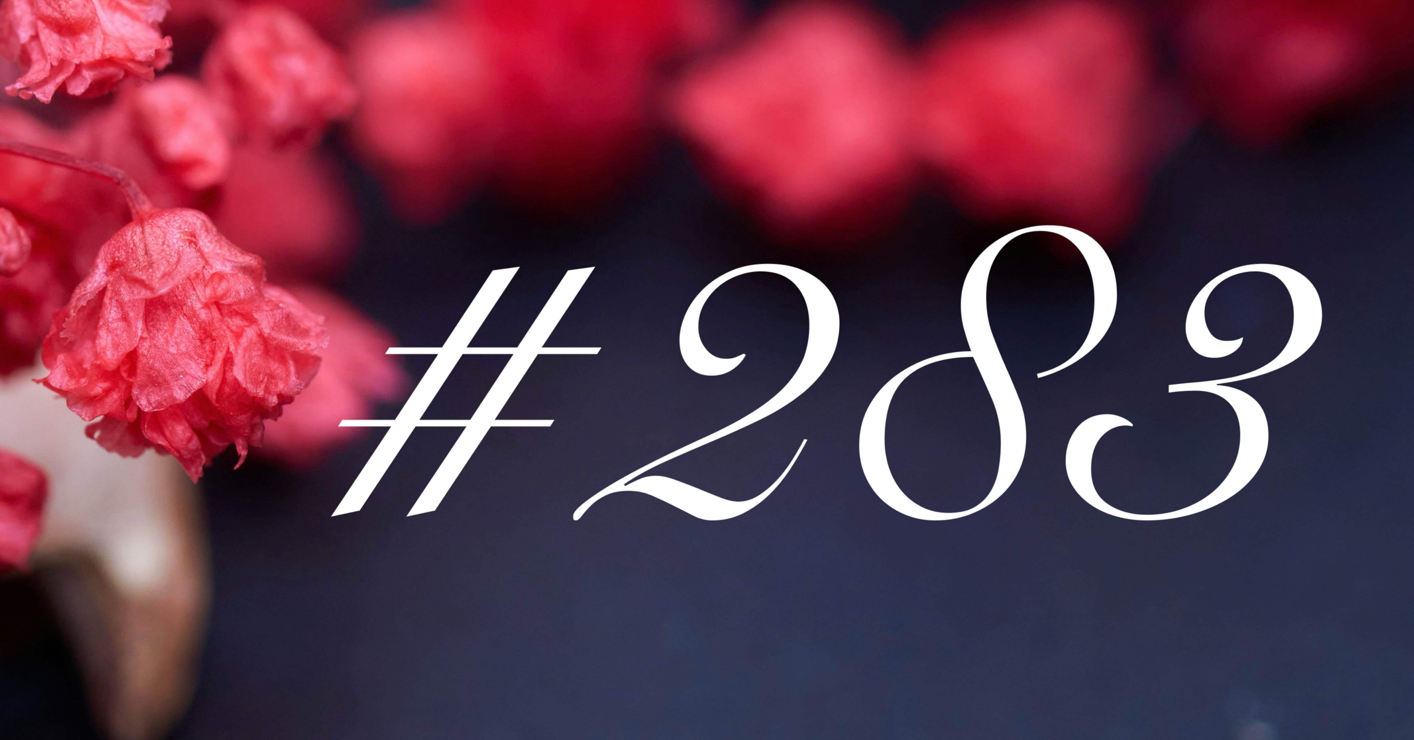 🔶【詩】＃283書きました 25.04.23 (24.10.02投稿分)｜Uyzr -ゆずる