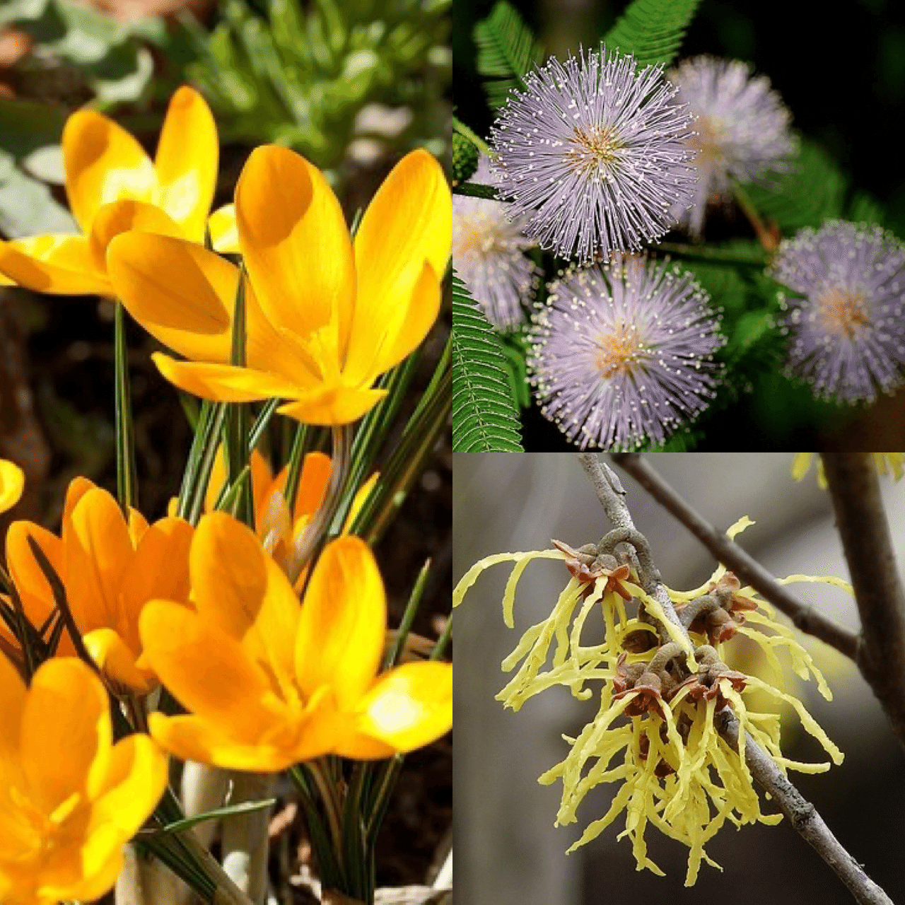 Monstera18の年1月のノート Note